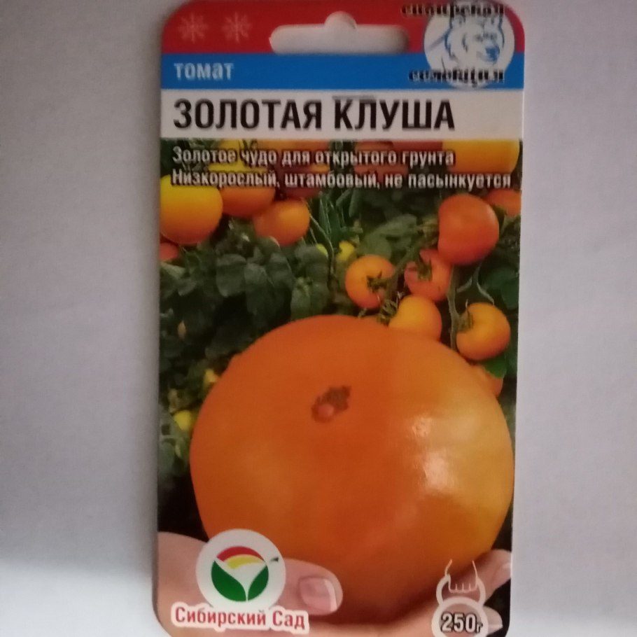 Семена томат супер-клуша