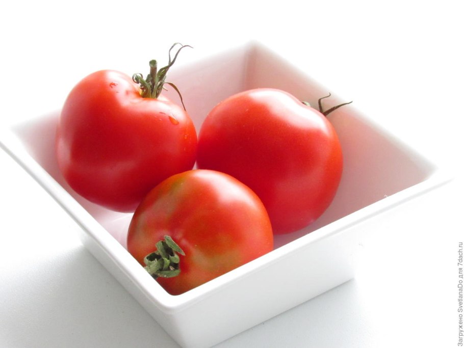 Сорт томата