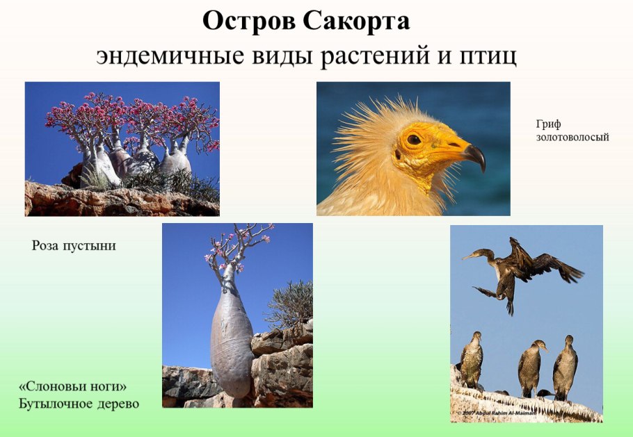 Виды эндемики