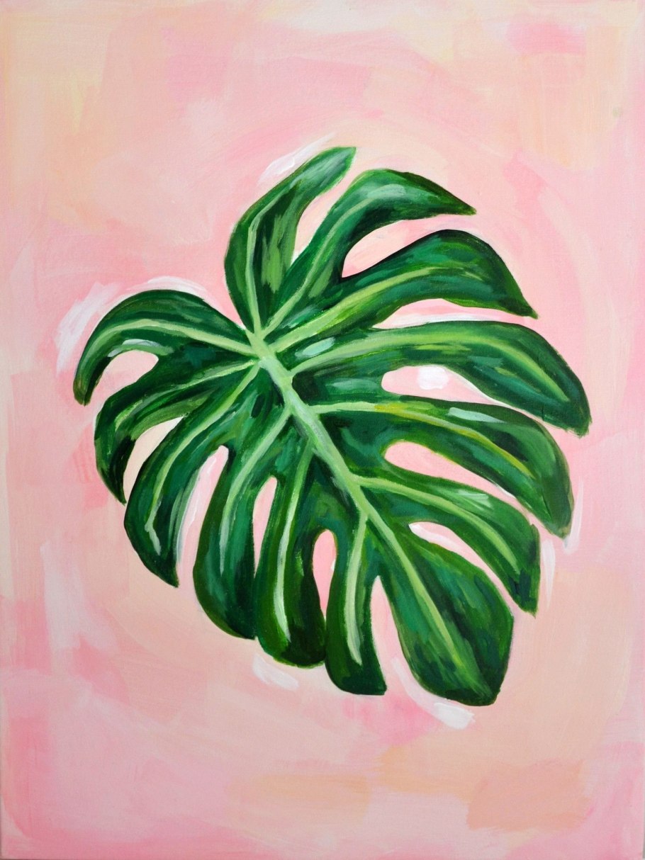 Джунгли спатифиллум монстера