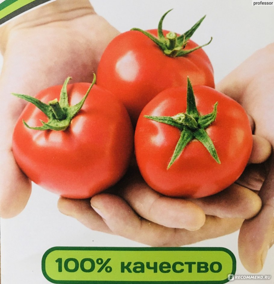 Томат Любаша семена партнер