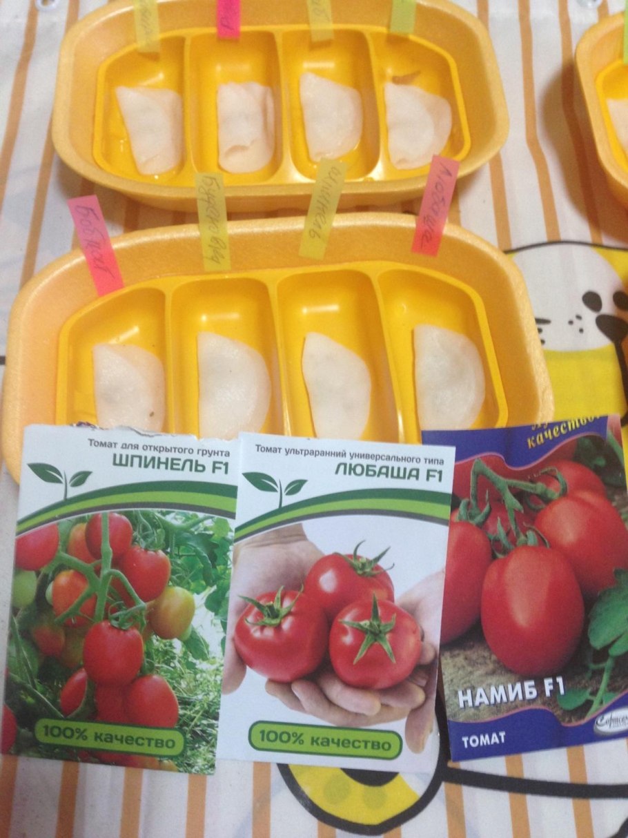 Томат любаша f1
