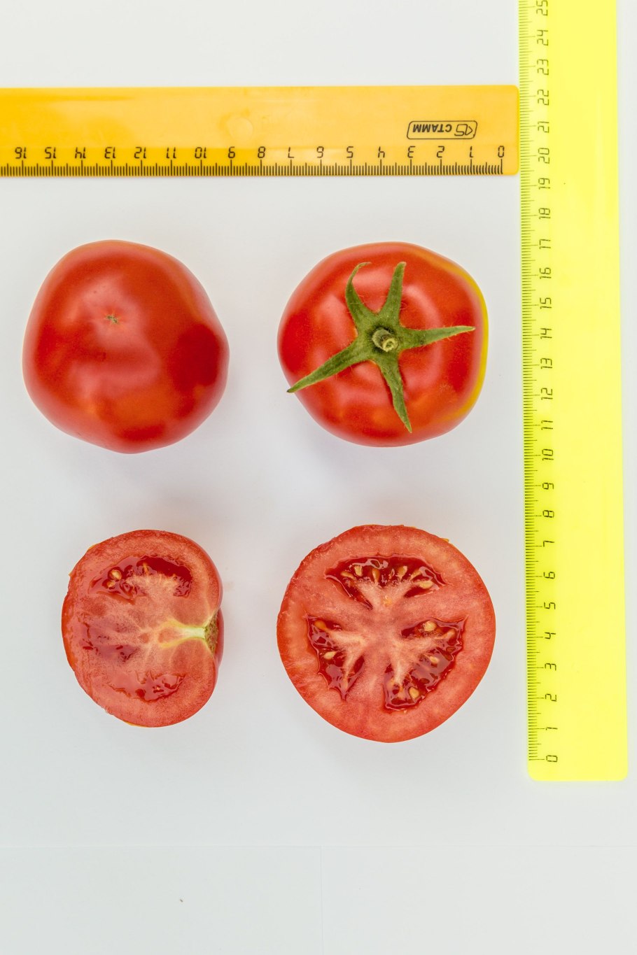 Помидоры Агрофирма