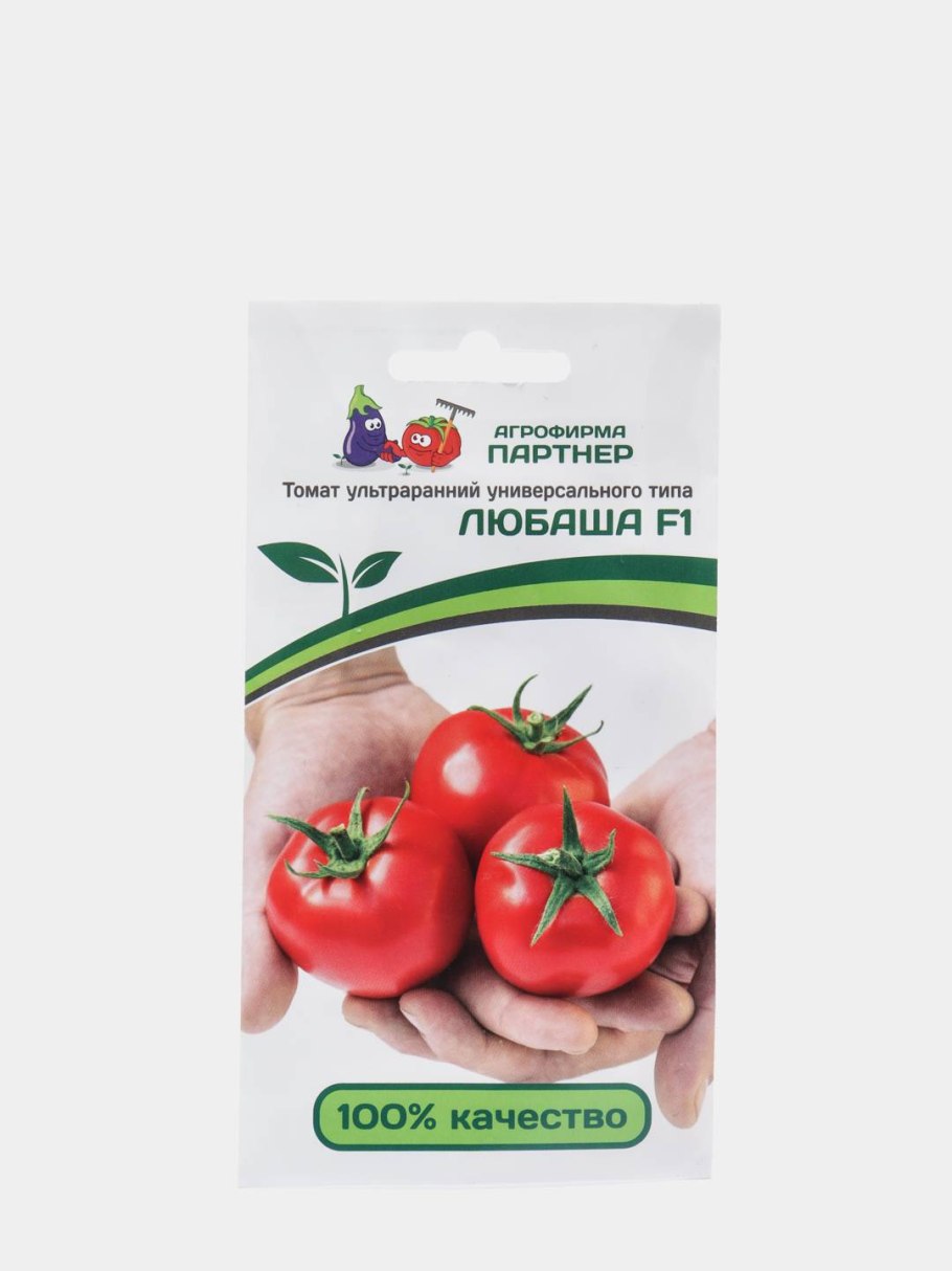 Любаша томат высота