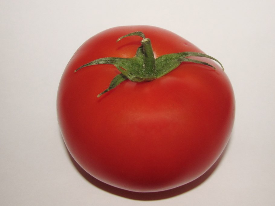 Томат Любаша описание сорта фото отзывы