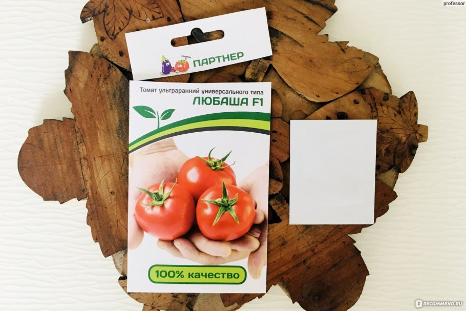 Томат Любаша в открытом грунте