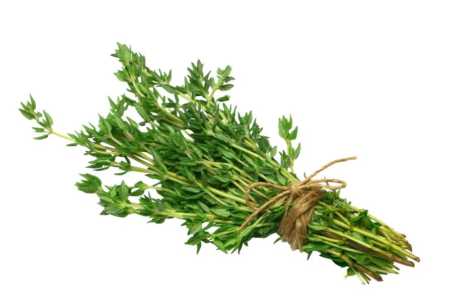 Тимьян Цитрон