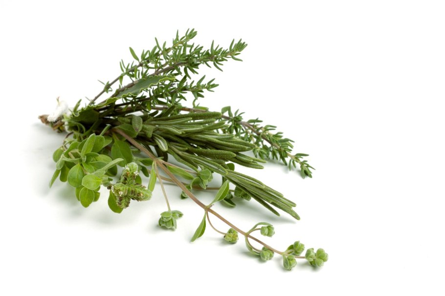 Ароматные травы на белом фоне