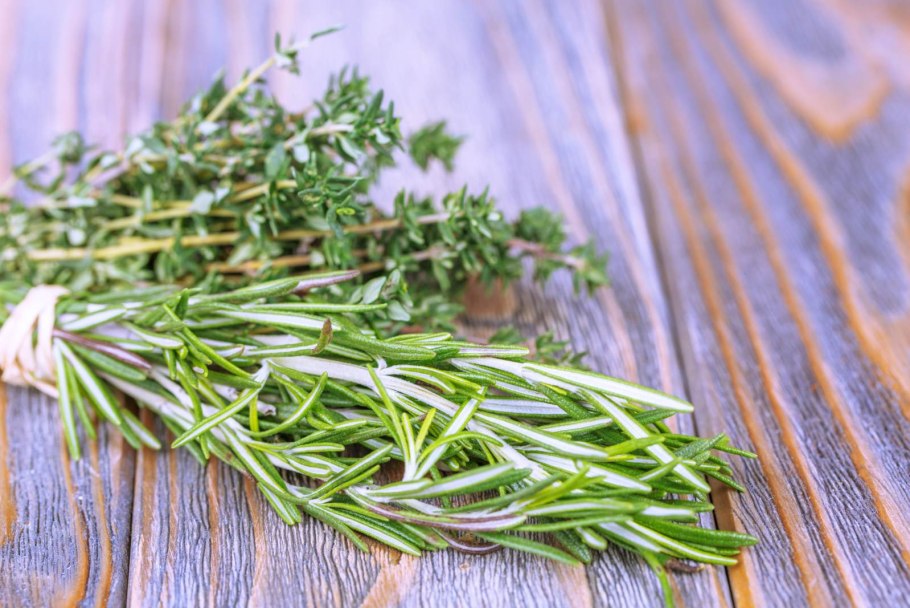 Специя Thyme kekik