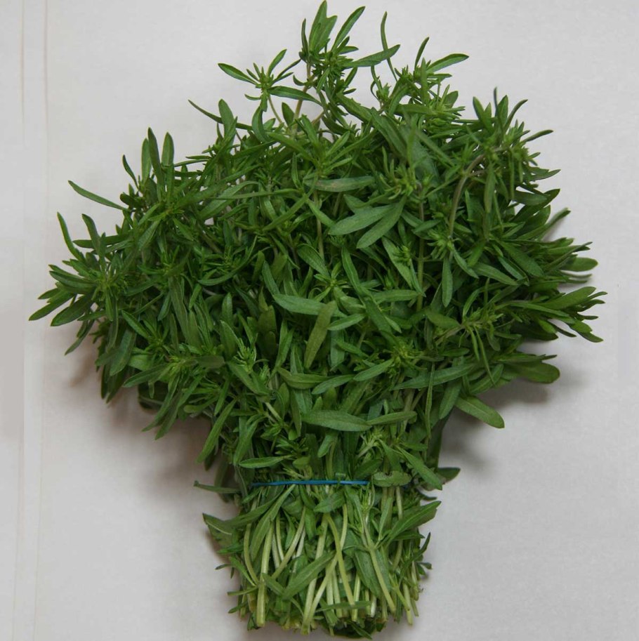 Джамбул чабер