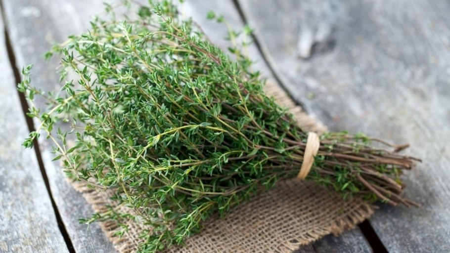 Тимьян (чабрец)