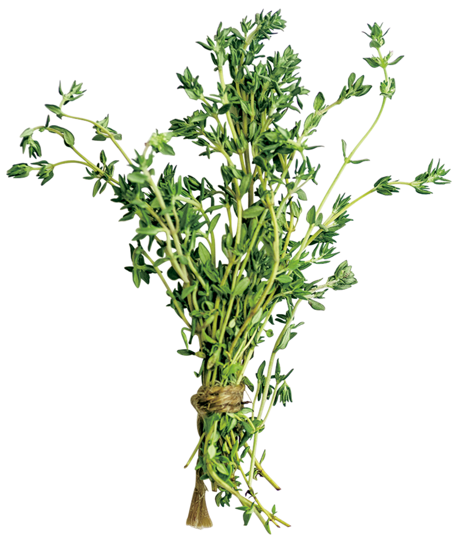 Чабрец Тархун тимьян