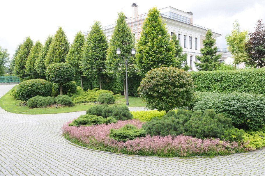 Бадан в миксбордере