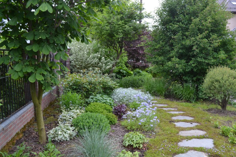 Татьяна Ашлапова ландшафтный дизайнер