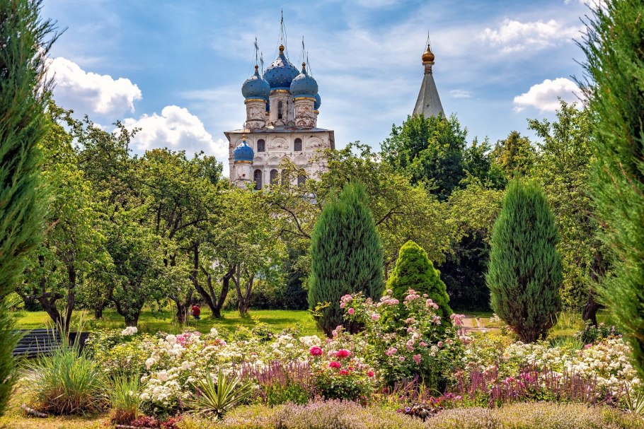 Туя Смарагд в ландшафте