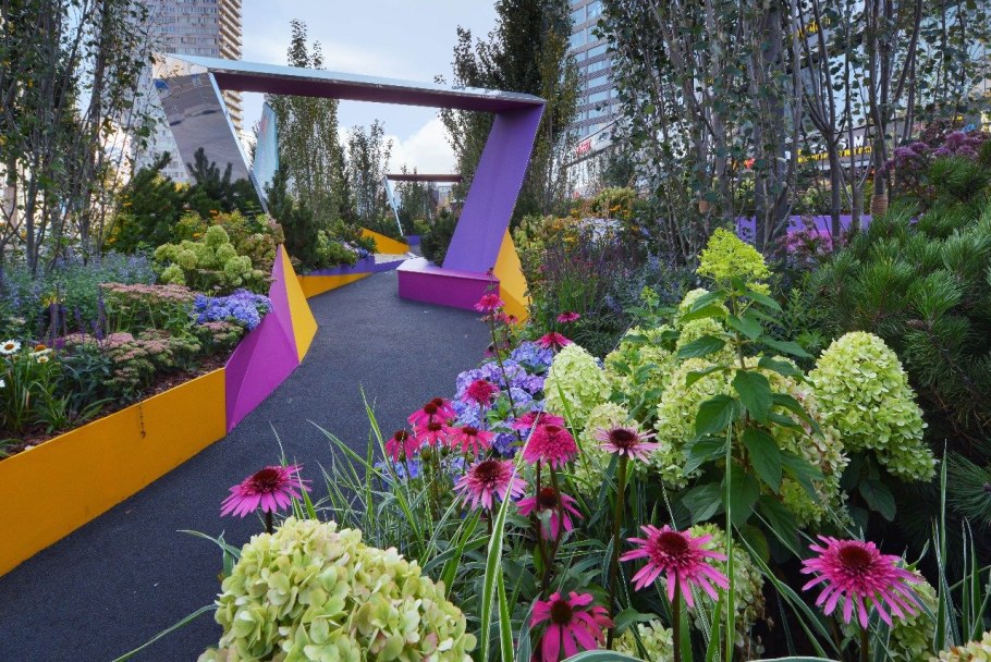 Миксбордер с лиственницей Пендула