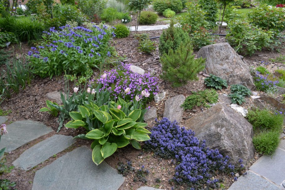 Сад Татьяны Ашлаповой Коломна