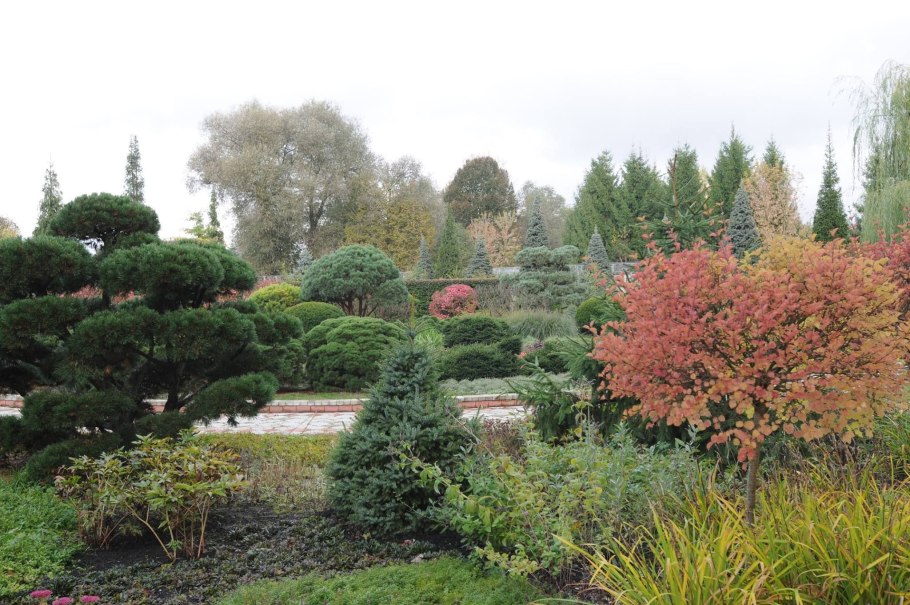 Ноэль Кингсбери миксбордер