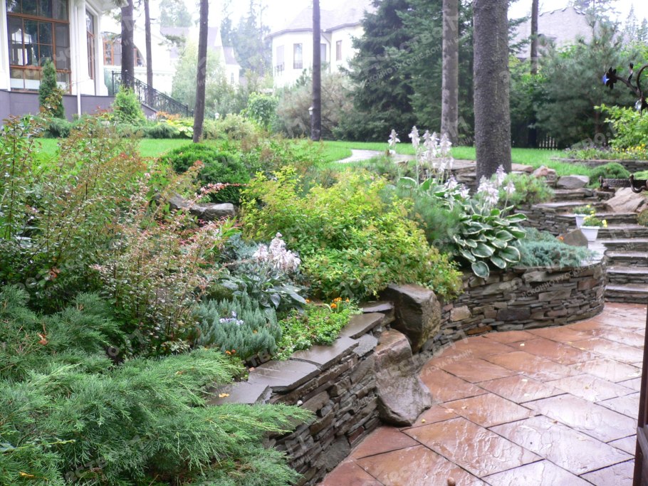 Альпийская горка миксбордер Хоста