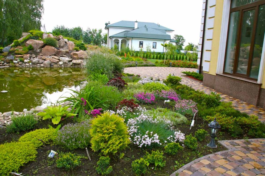 Хвойники в Лесном ландшафте