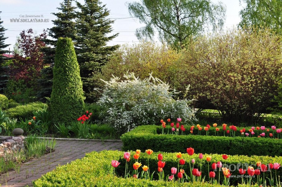 Рокарий Каменистый сад