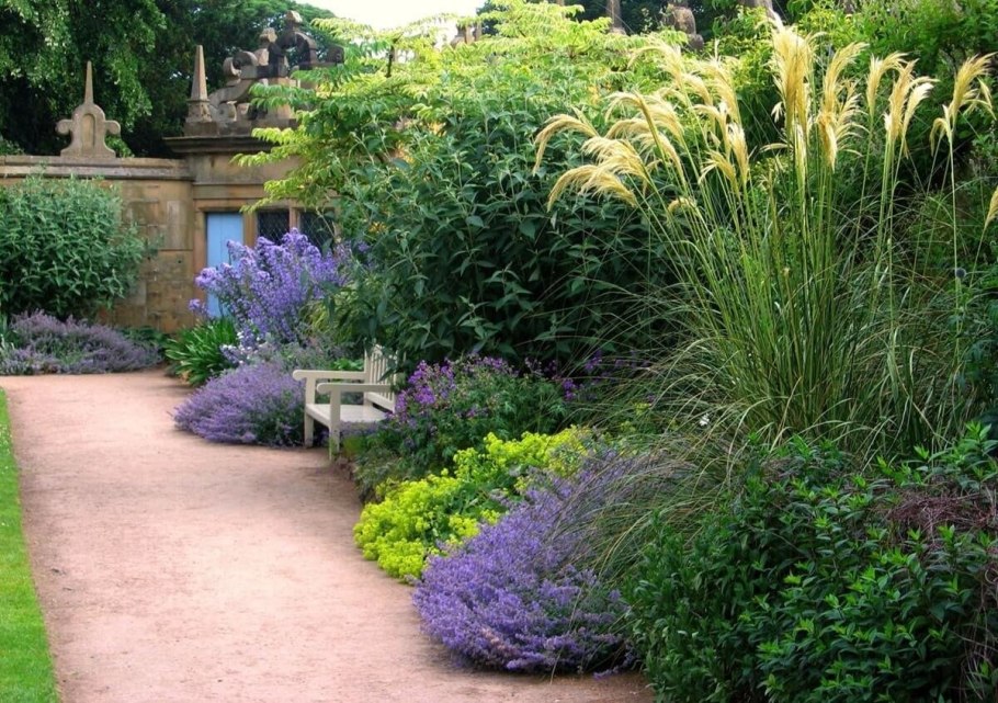 Миксбордеры Вероника голубая