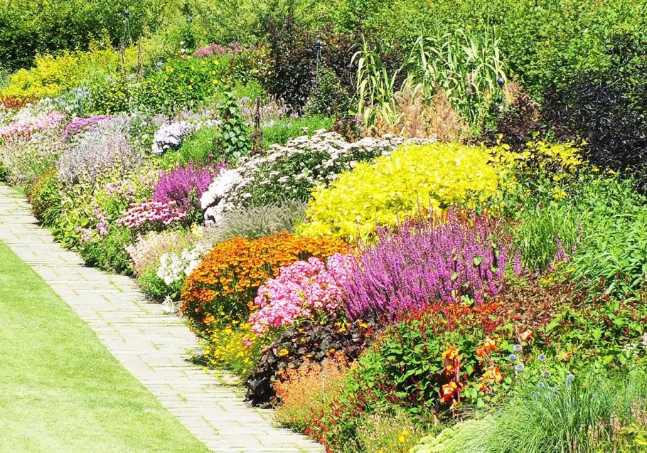 Лесной миксбордер