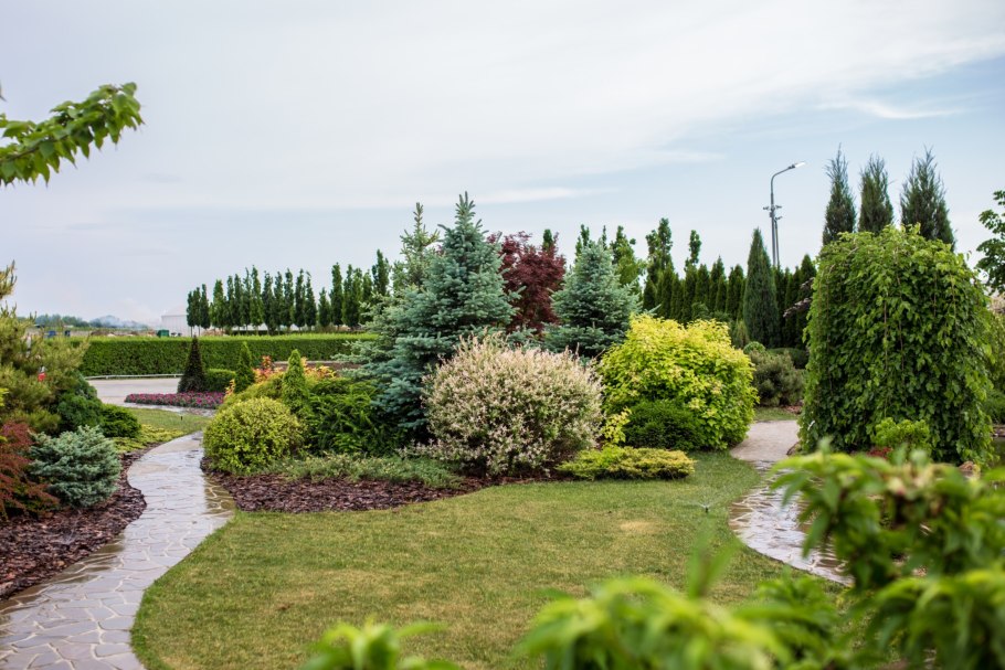 Розовый сад питомник Краснодар