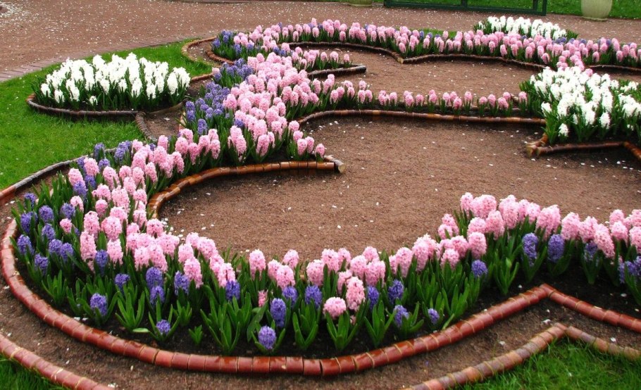 Красивые клумбы