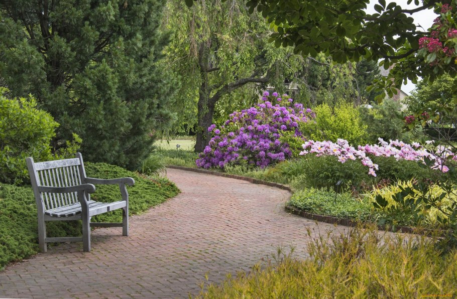 Миксбордер тенелюбивый