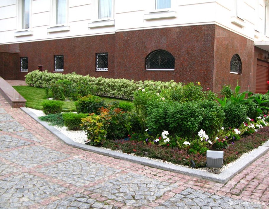 Гортензия,Хоста, туя Даника