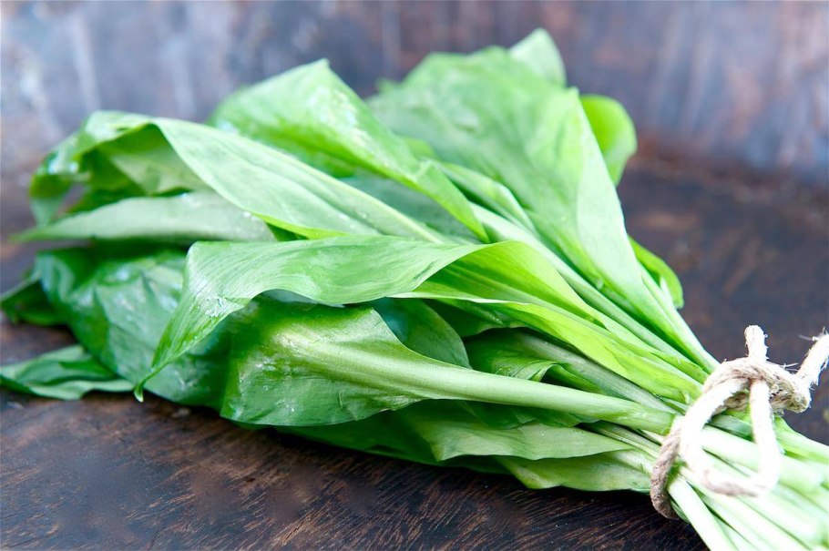 Горная черемша