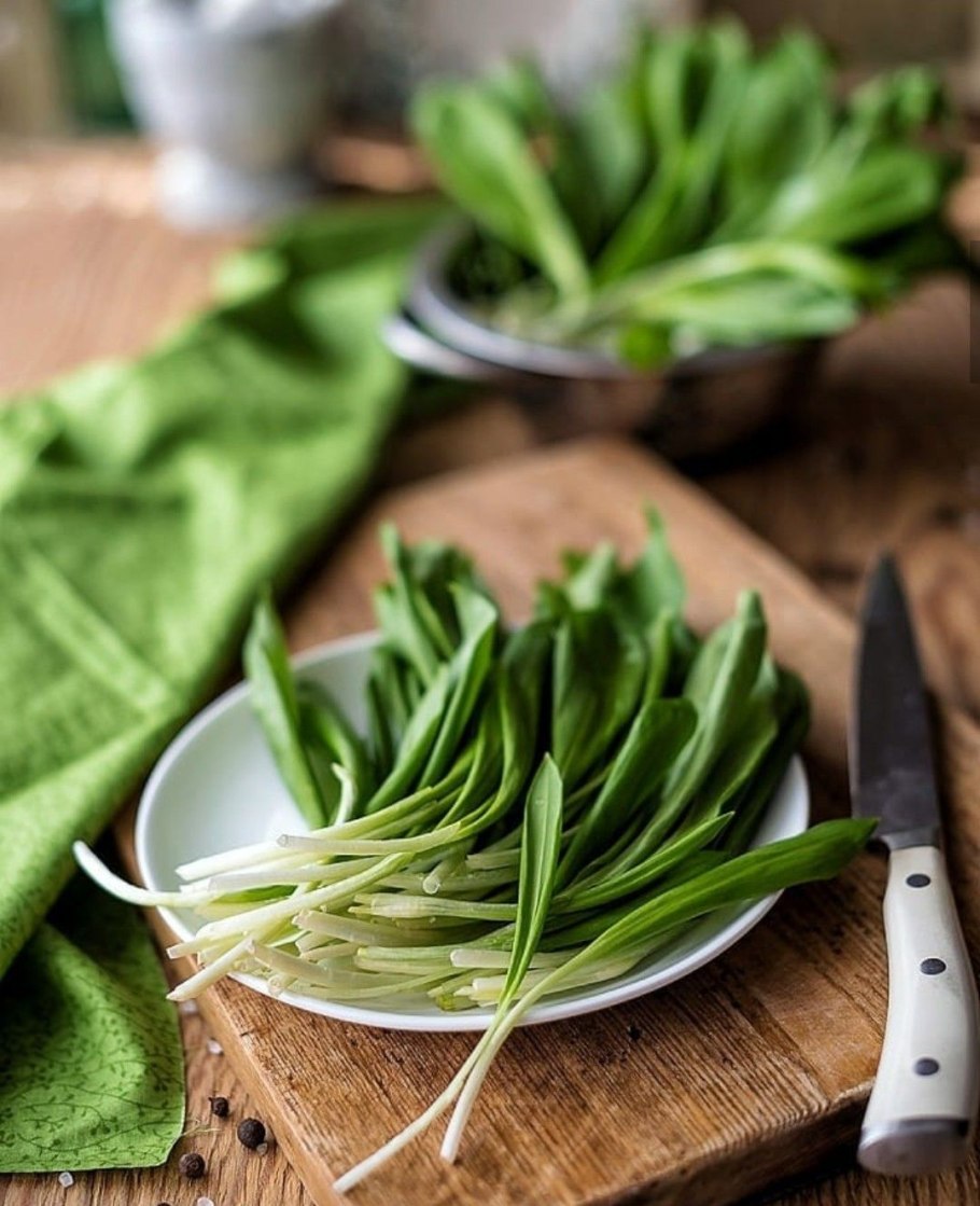 Черемша Медвежье ухо