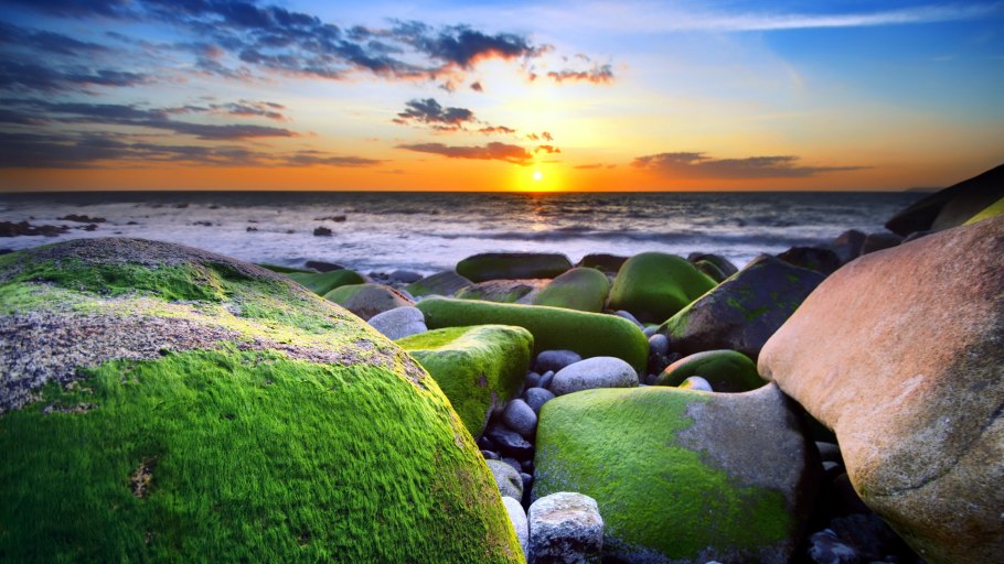 Камни на берегу моря