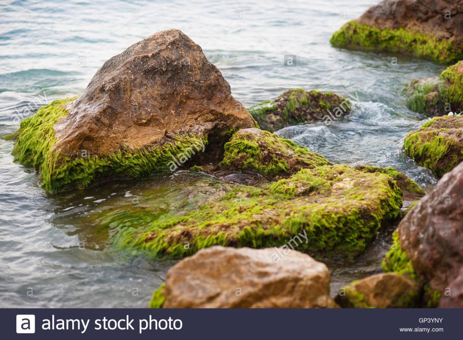 Камни под водой