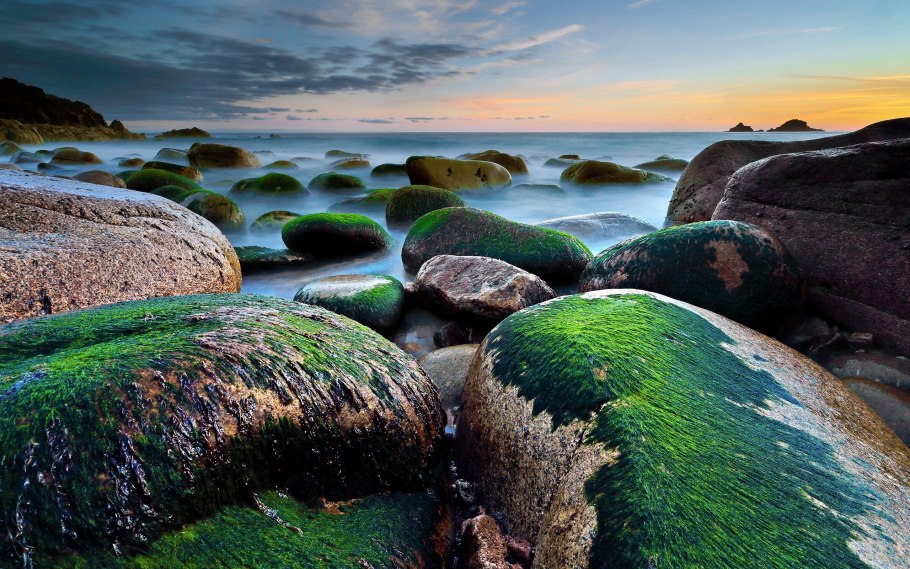 Водоросли на камнях в море