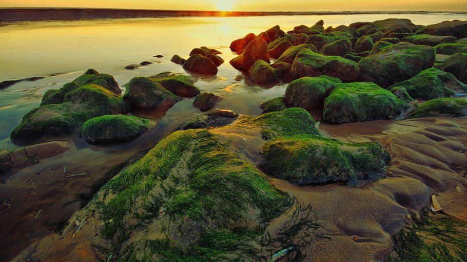 Валун в воде