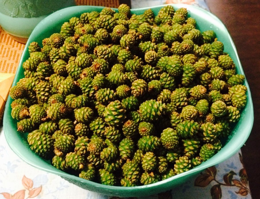 Зеленые шишки