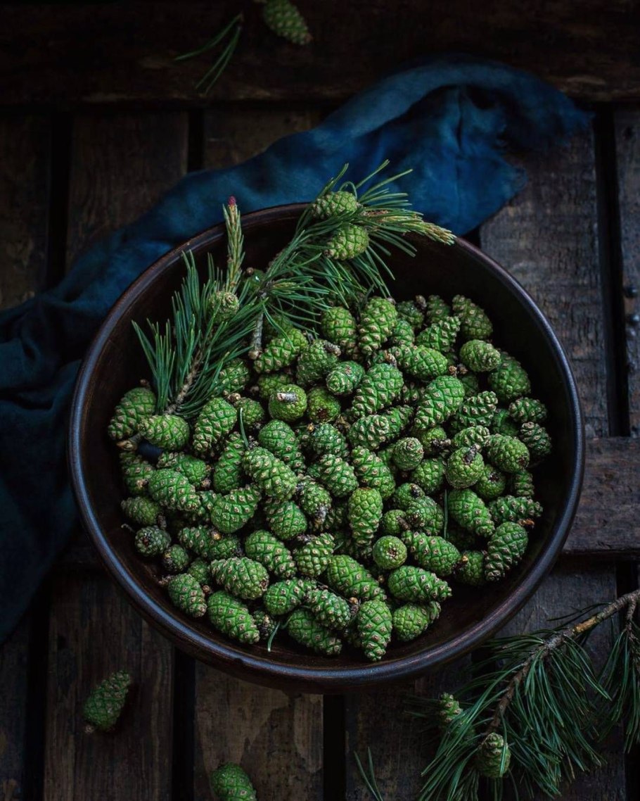 Сосновые шишки неспелые