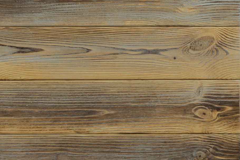 Сосна Кедровая стланиковая Глаука