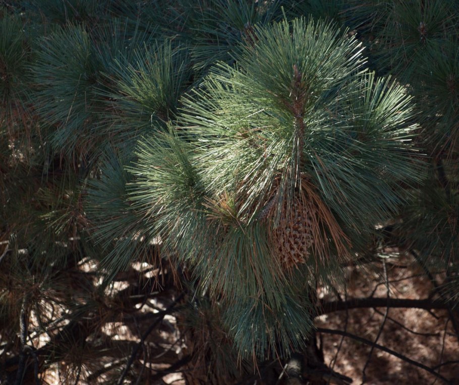 Ламинат Tarkett «хартли» 33 класс