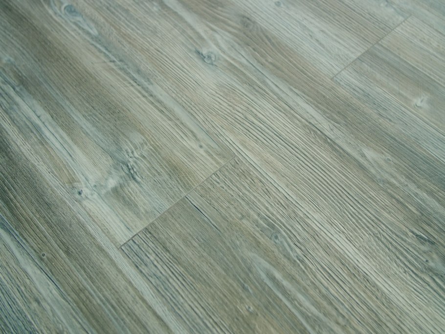 Сосна Пандероса 2057