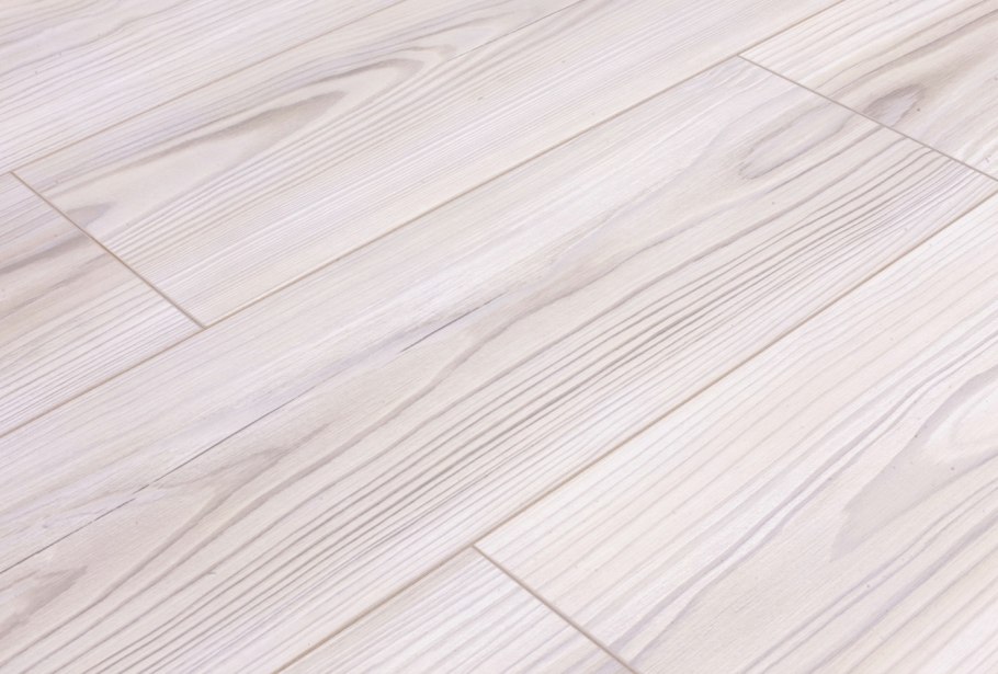 Лишайник ягель в тундре