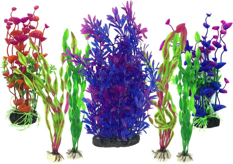 Апоногетон ульвовидный