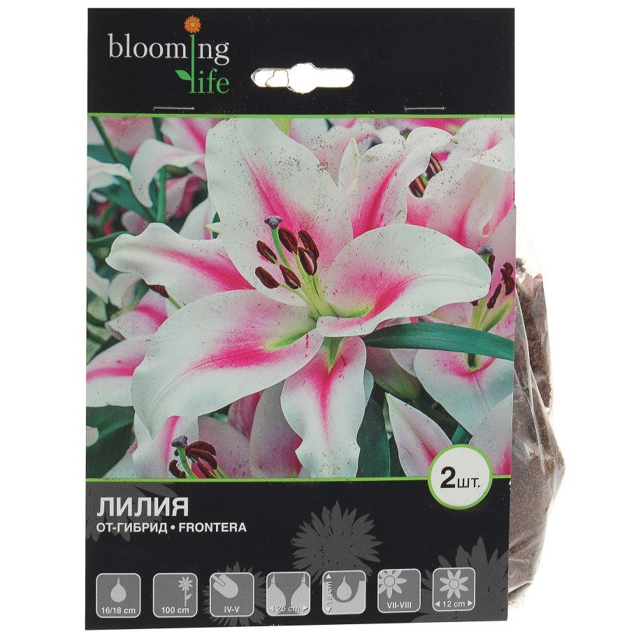 Лилия Мисс Марпл