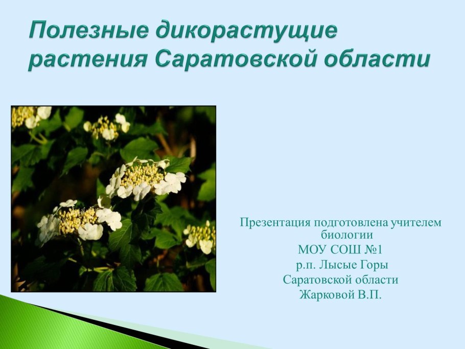 Цветы луговые полевые Лесные садовые