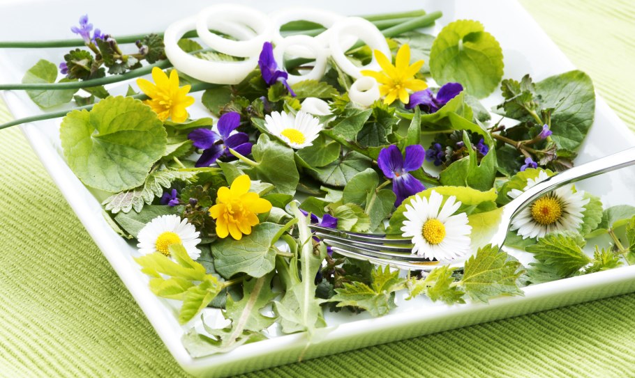 Луговая трава съедобная