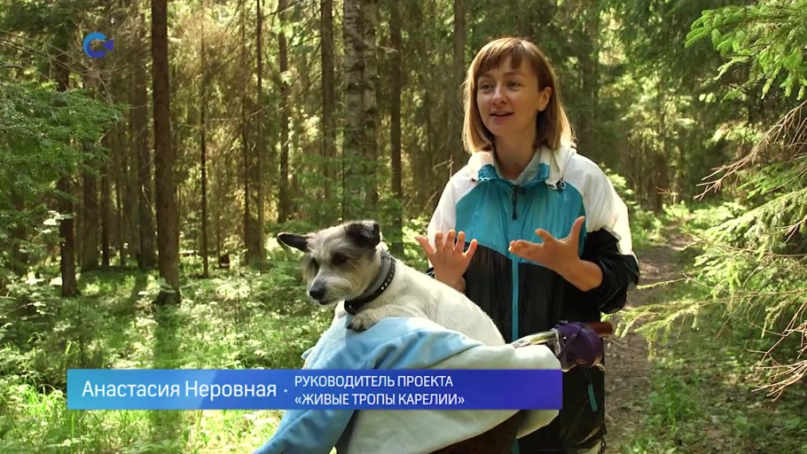The beetweenlands большое дерево