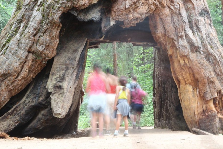 Национальный парк Yosemite; парк Секвойя