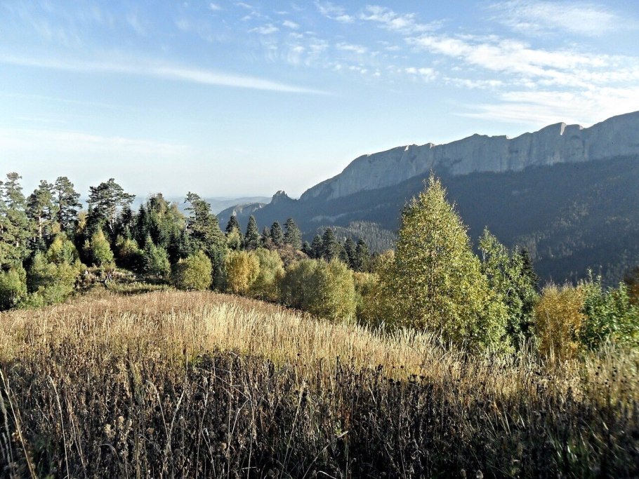 Весенний лес Адыгея